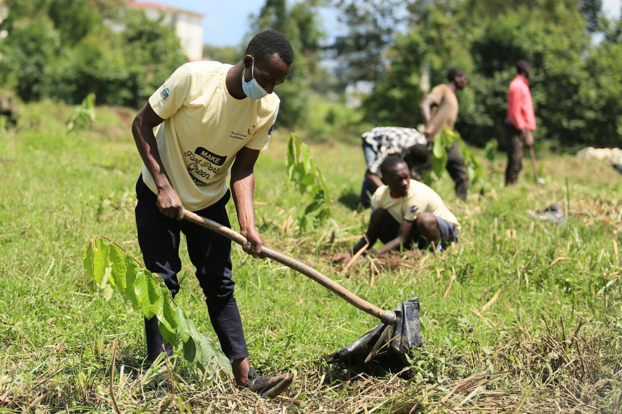 STIHL climate project in Uganda planting phase