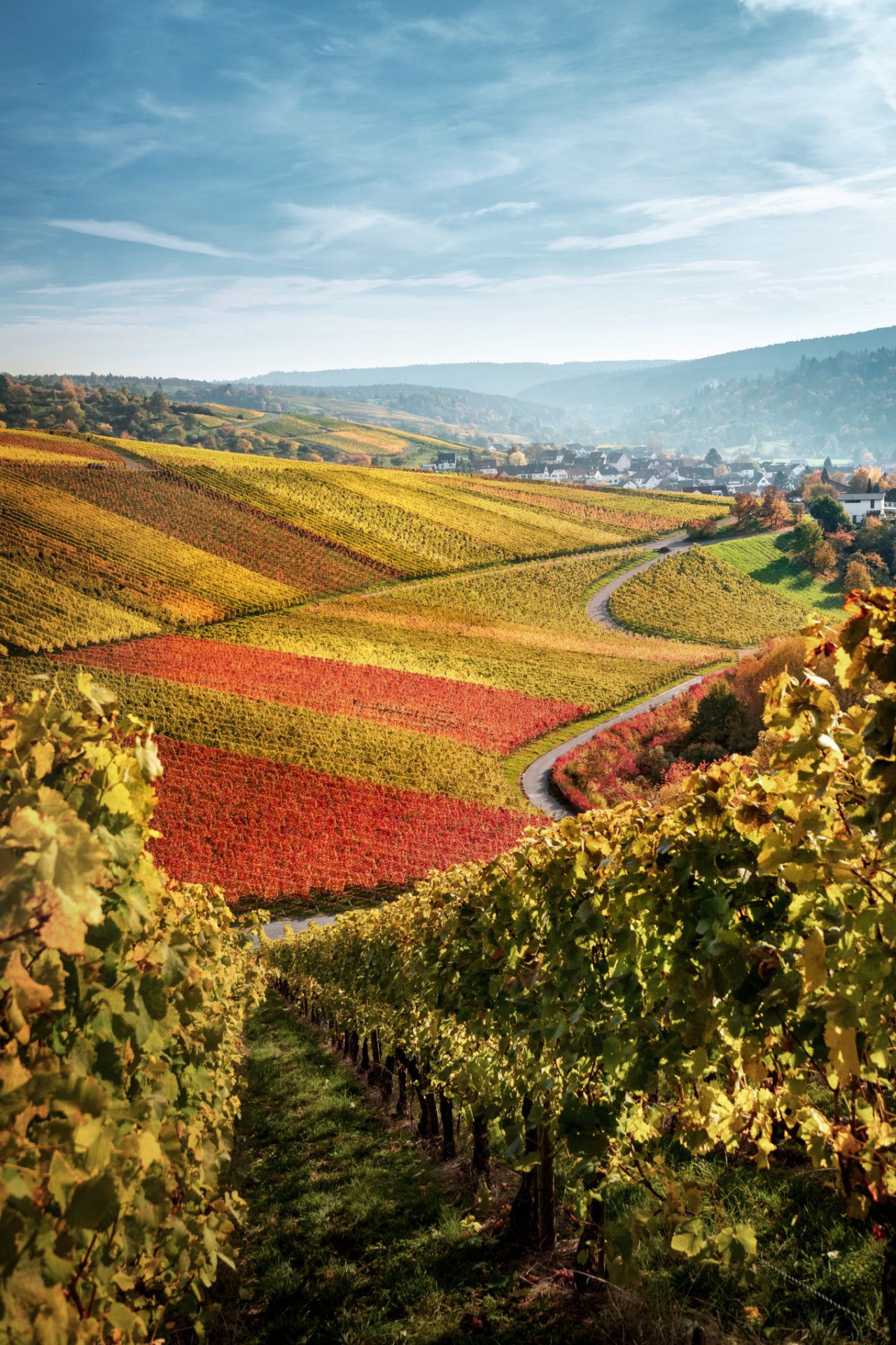 GERMANY