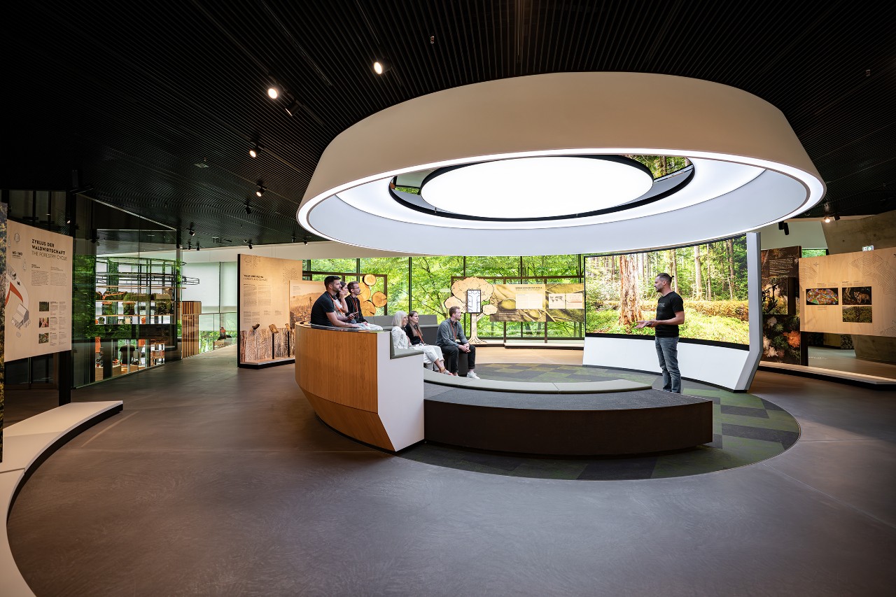 The rotating forest cinema